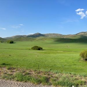 Meet your Posher, Noah